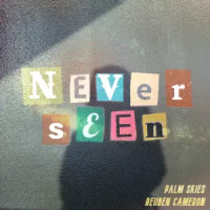 Never Seen cover art
