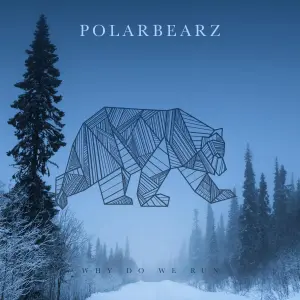 Why Do We Run cover art