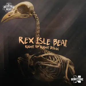 Right Up Right Down cover art