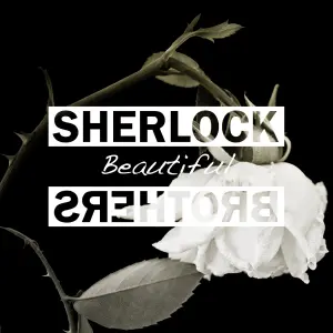 Beautiful cover art