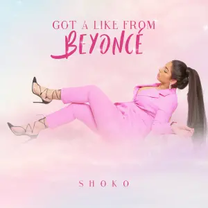 Got a like from Beyoncé cover art