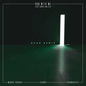 Run With Me (Echo Remix) cover art
