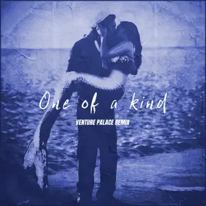 One Of A Kind (Venture Palace Remix) cover art