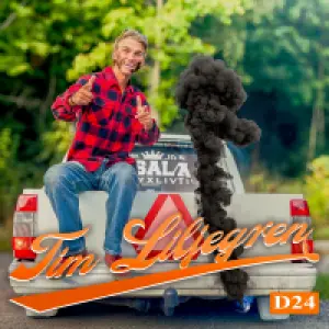 D24 cover art