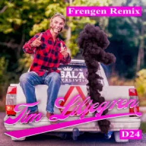 D24 (Frengen Remix) cover art