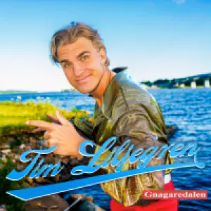 Gnagaredalen cover art