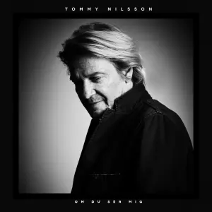 Om Du Ser Mig cover art
