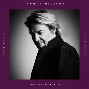 Om Du Ser Mig (Ched Remix) cover art