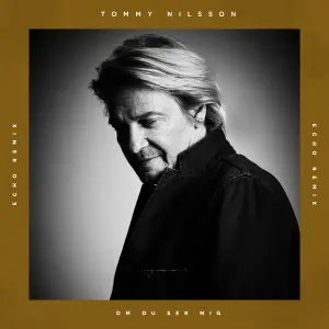 Om Du Ser Mig (Echo Remix) cover art