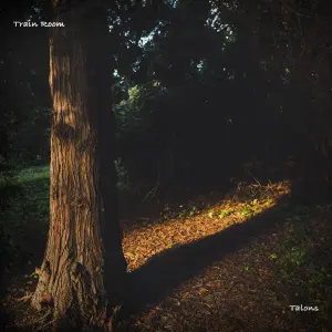 Talons cover art