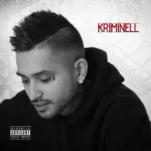 Kriminell cover art