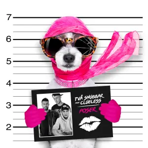 Poser cover art