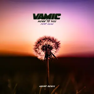 Home To You (HANÁK Remix) cover art