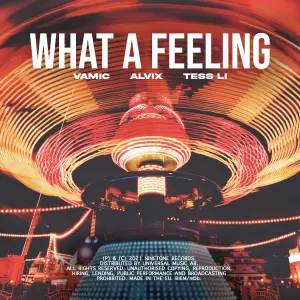 What a feeling cover art