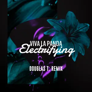 Electrifying (Douglas .T Remix) cover art