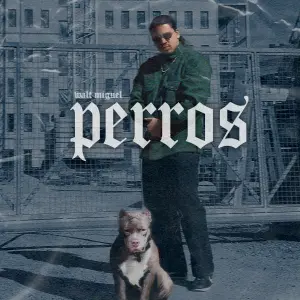 Perros (Single ) cover art