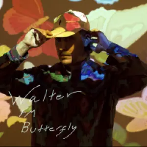 Butterlfy cover art